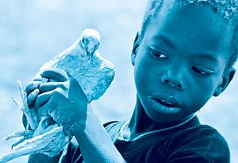 Imagen de blue-bird