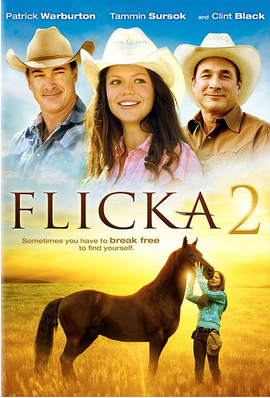 Imagen de Flicka 2 (Cartel)