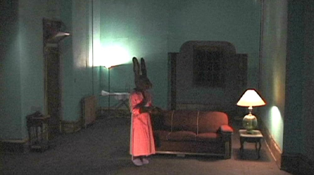 Imagen de conejos-rabbits