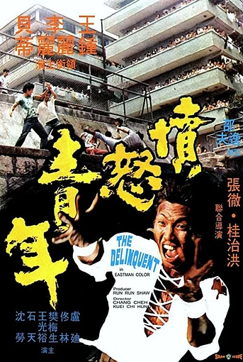 Poster de The Delinquent