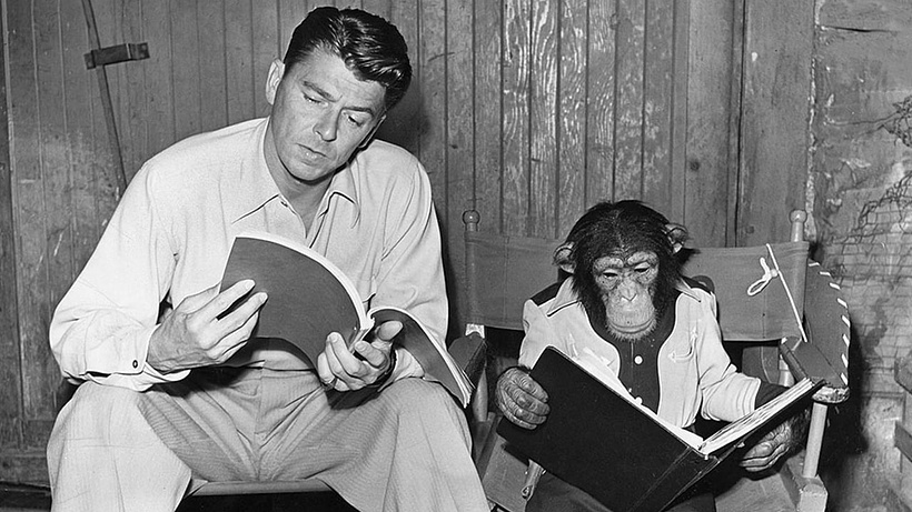 Imagen de Bedtime for Bonzo