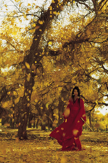 Maggie Cheung en Hero