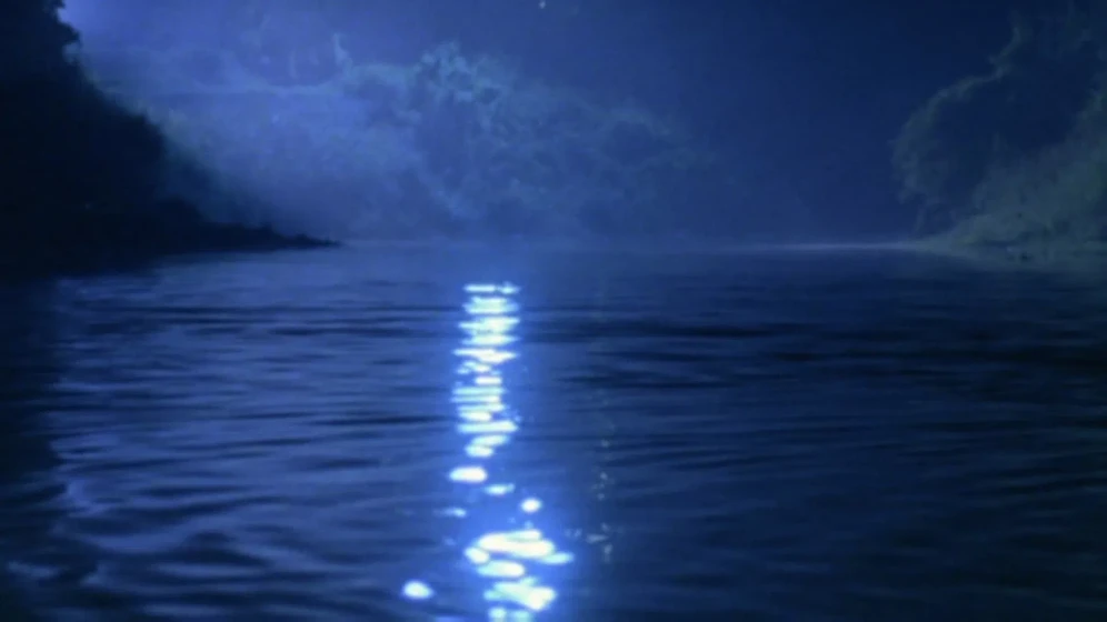Imagen de august-in-the-water