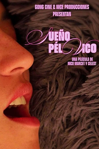 Poster de Sueño Pélvico