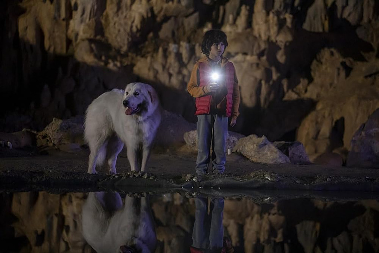 Imagen de Belle y Sebastián: La Nueva Generación