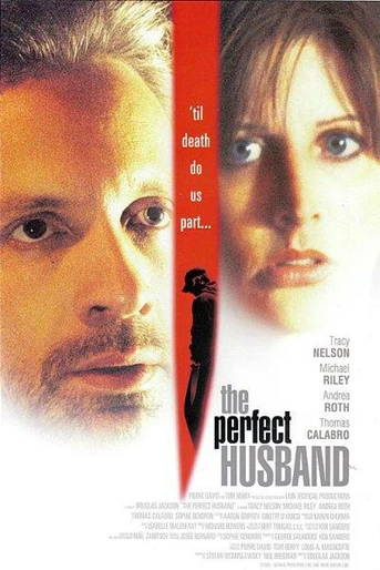 Poster de El Marido Perfecto