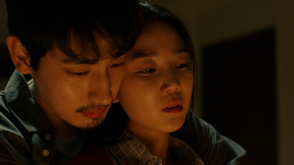 Imagen de swallow-2023