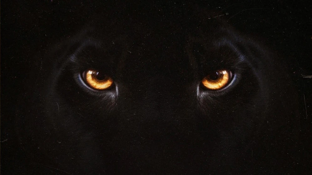 Imagen de diabolik-quien-eres