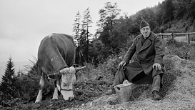 still of movie La Vaca y el Prisionero