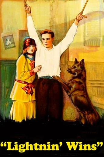 Poster de Lightnin' Wins