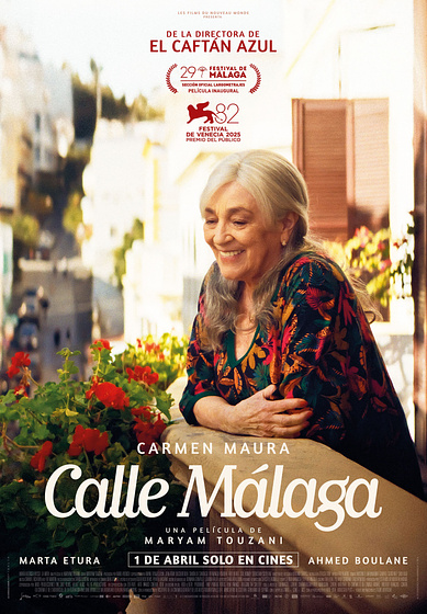 Imagen de calle-malaga (Cartel)