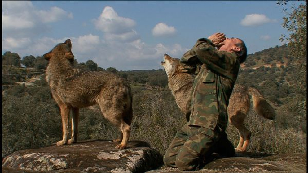 Imagen de Marcos, el lobo solitario