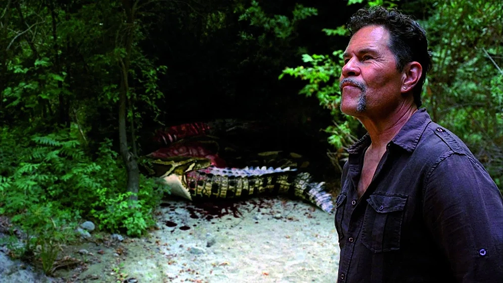 Imagen de mega-piton-contra-mega-caiman