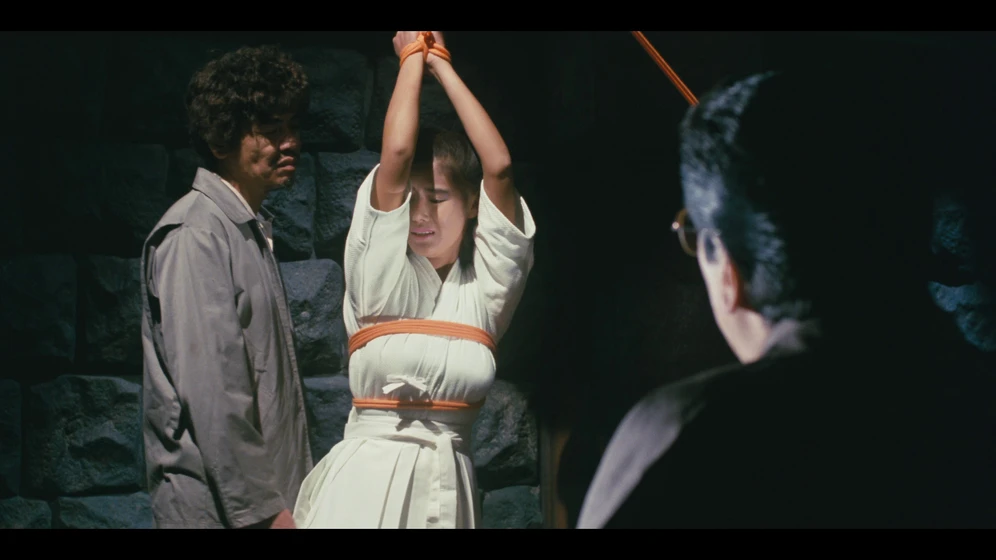 Imagen de beautiful-teacher-in-torture-hell