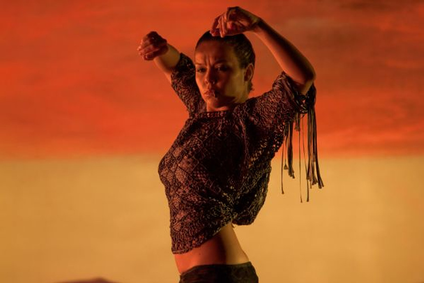 Imagen de Flamenco, flamenco