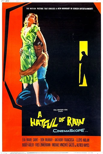 Poster de Un Sombrero lleno de Lluvia