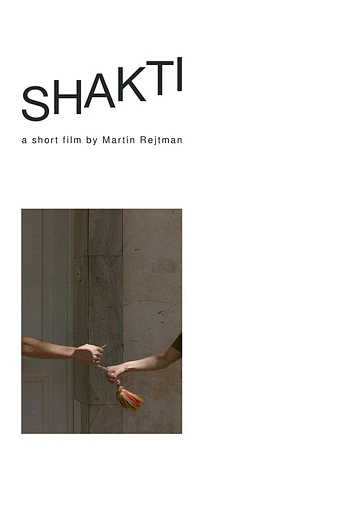 Poster de Shakti