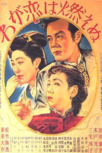 Poster de Amor en Llamas