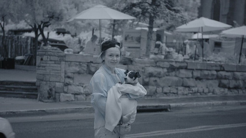Imagen de Heart of a dog