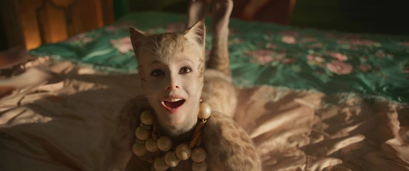 Imagen de cats