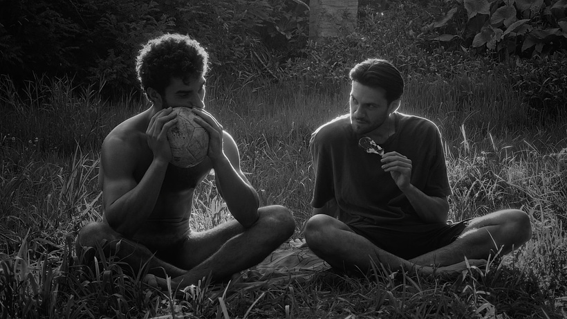 Imagen de Perro Perro