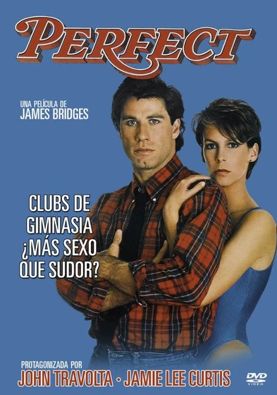 Imagen de perfect (Cartel)