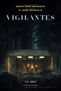 Vigilantes poster