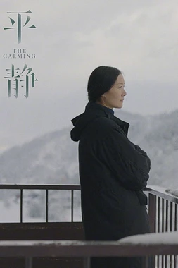 poster of movie The calming