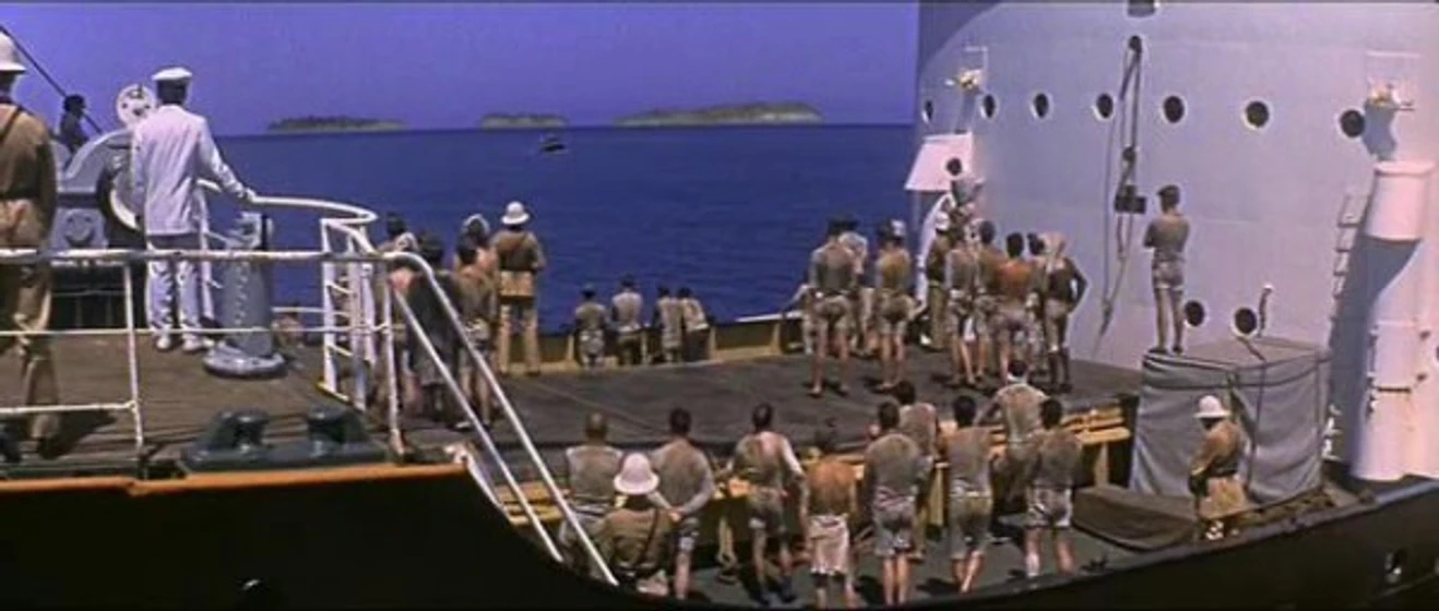 Imagen de papillon