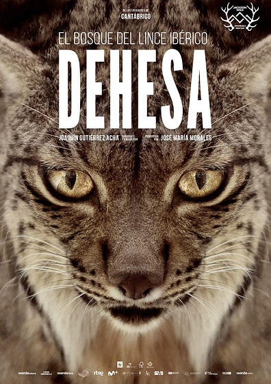 Imagen de Dehesa, el Bosque del lince ibérico (Cartel español)
