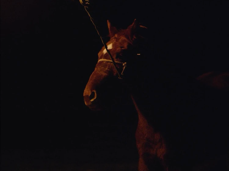 Imagen de graveyard-of-horses