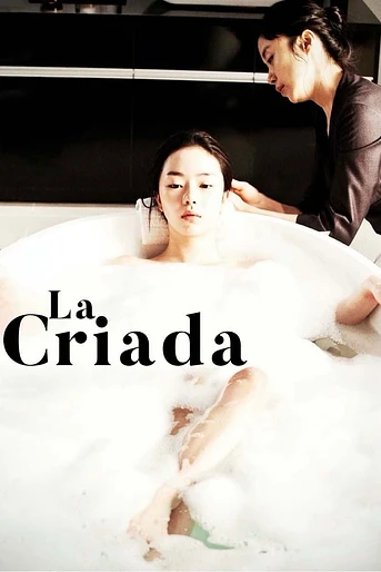 Poster de The Housemaid