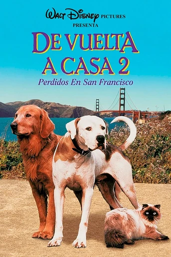Poster de De vuelta a casa 2: Perdidos en San Francisco