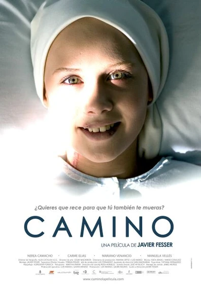 Imagen de camino (Cartel)