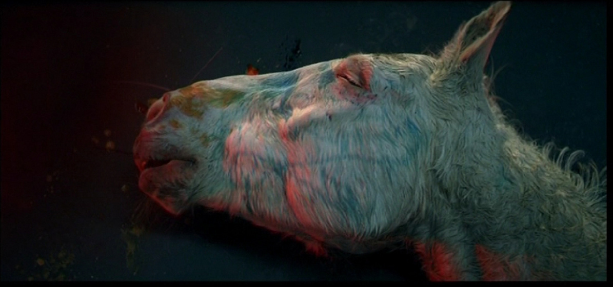 Imagen de La résurrection des natures mortes (Living Still Life)