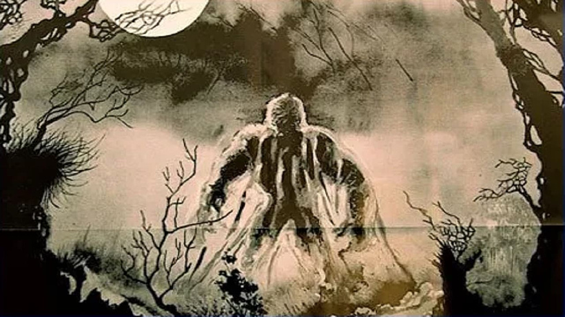 Imagen de Screams of a Winter Night