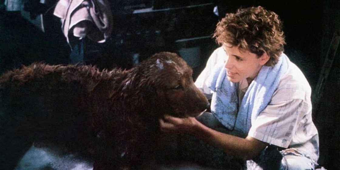 Corey Haim en proyecto-terror