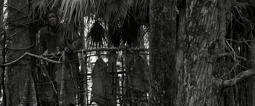 Imagen de Hacia la Libertad