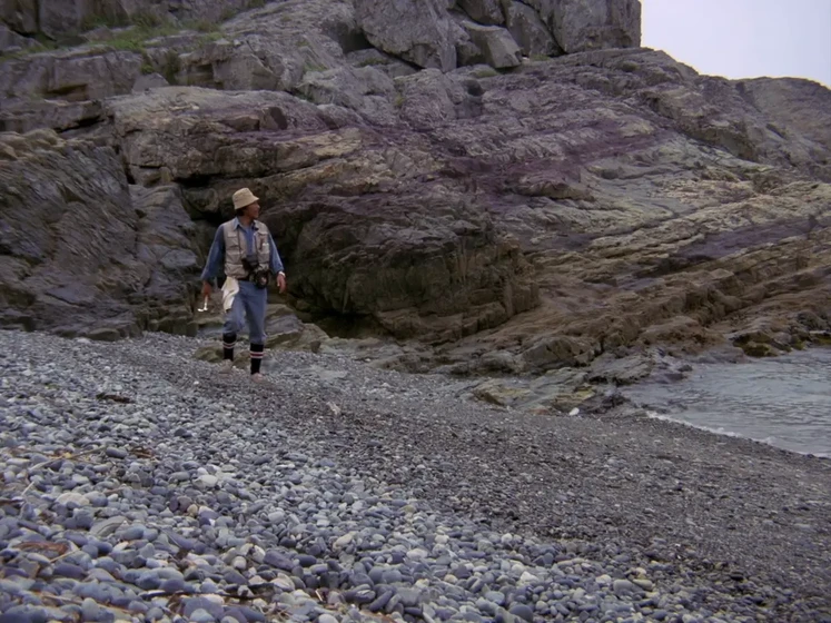 Imagen de war-of-the-god-monsters