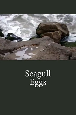 Seagull Eggs