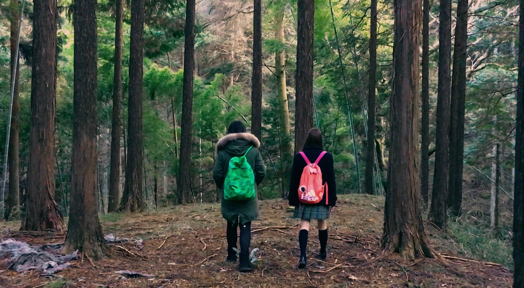 Imagen de fuji_jukai-mov