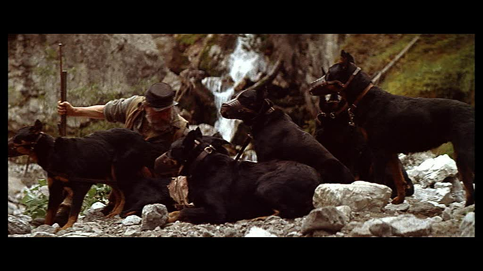 Imagen de El Oso