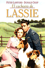 poster of movie El Cachorro de Lassie