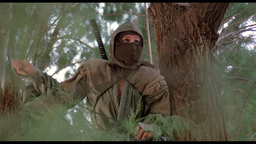 Lucinda Dickey en Ninja III: La Dominación