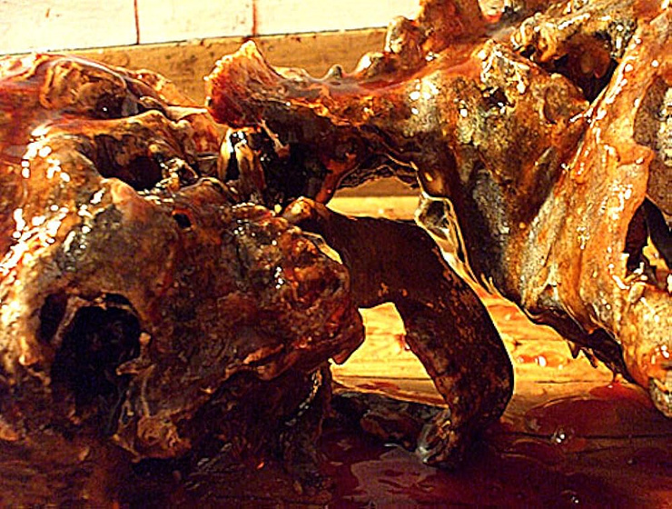 Imagen de thanatomorphose