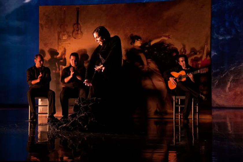 Imagen de Flamenco, flamenco
