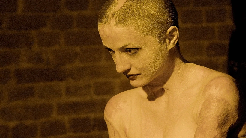 Imagen de Collective