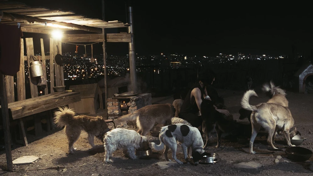 Imagen de silent-city-driver