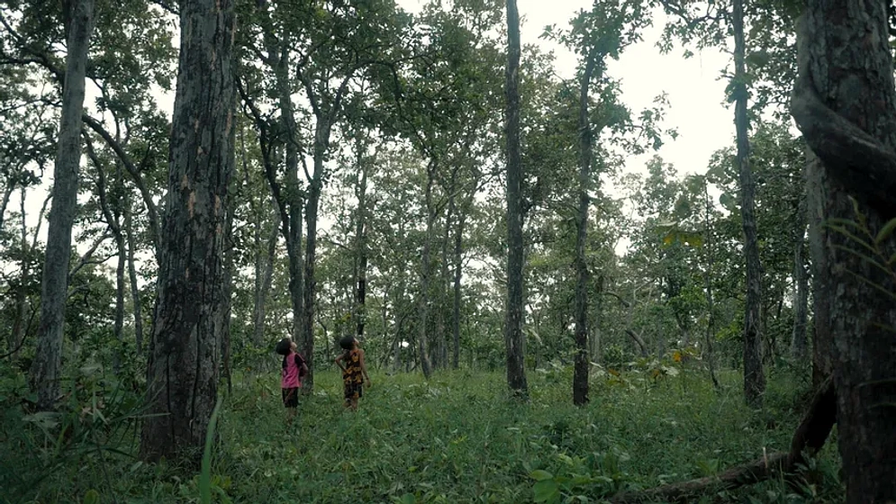 Imagen de Until the Orchid blooms