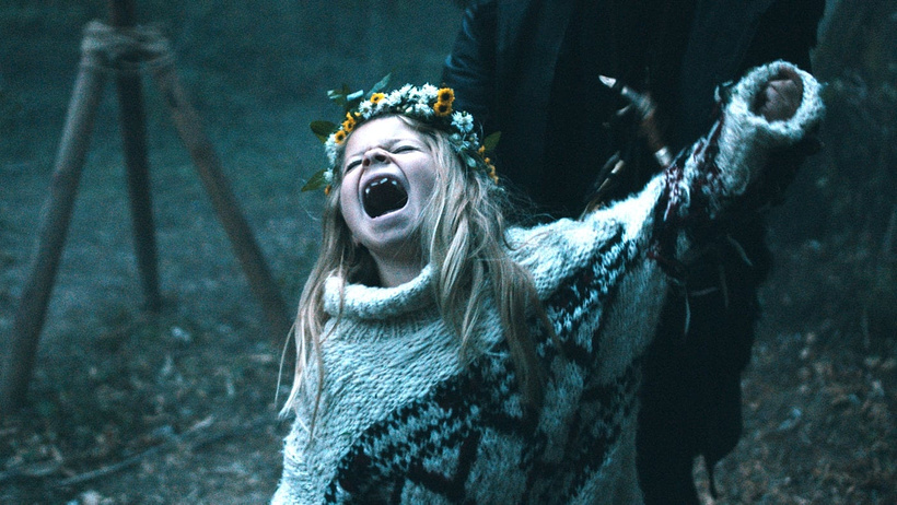 Imagen de Pelican Blood